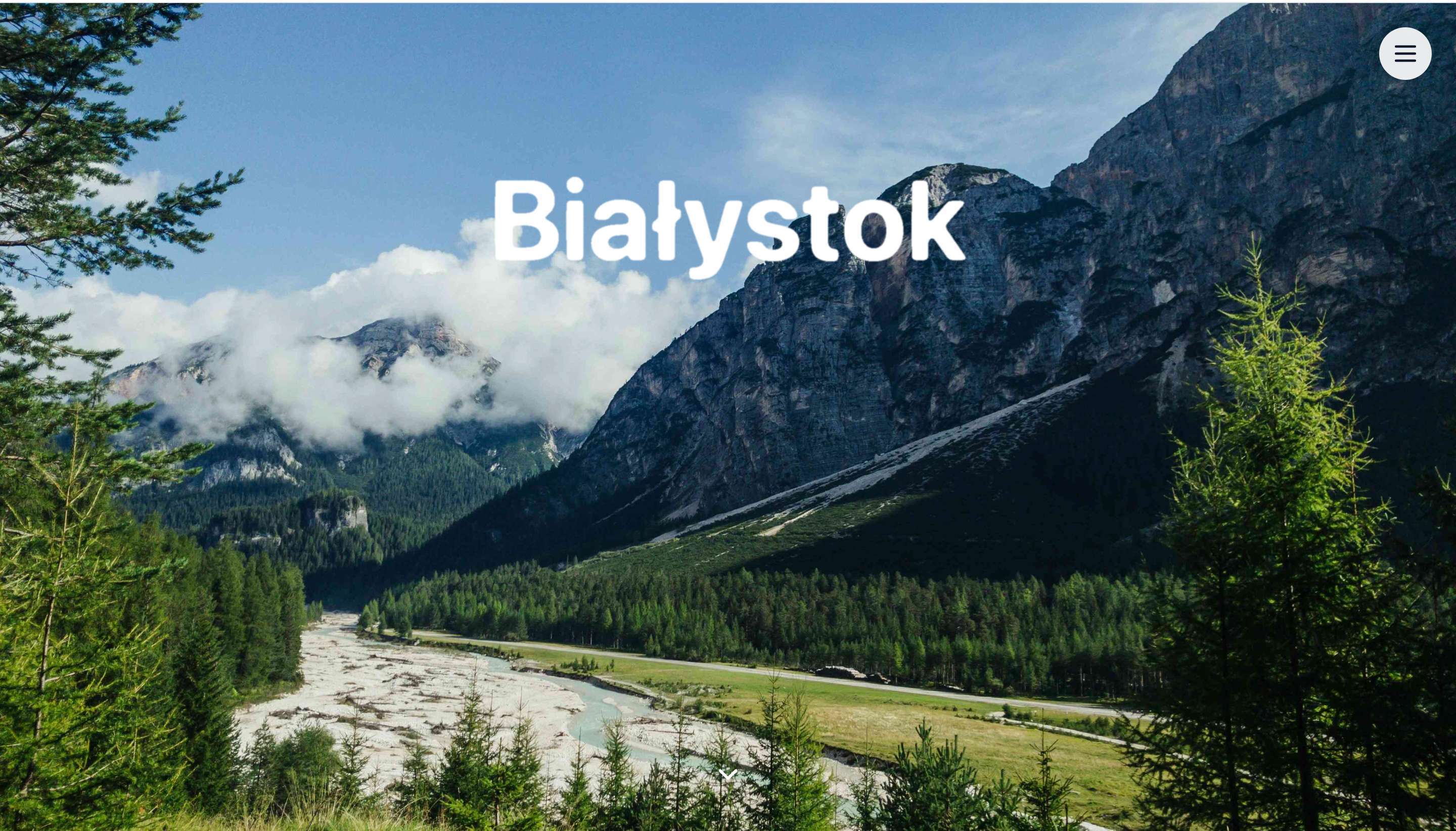 Strona internetowa dla Niechwiedowicz Fizjoterapia - tworzenie stron www